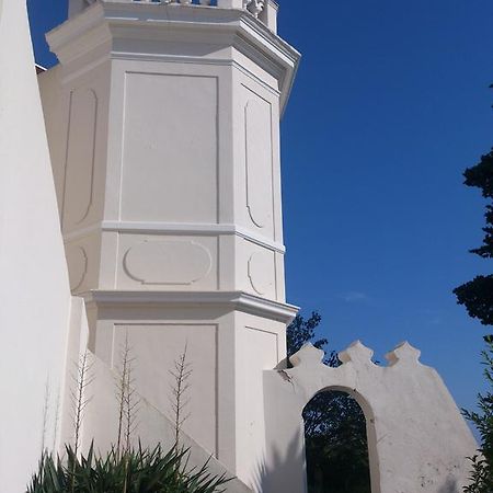 Villa-Chateau Les Terrasses - Tamaris, Plage Des Sablettes, Mer Au Bas De La Propriete La Seyne-sur-Mer Zewnętrze zdjęcie