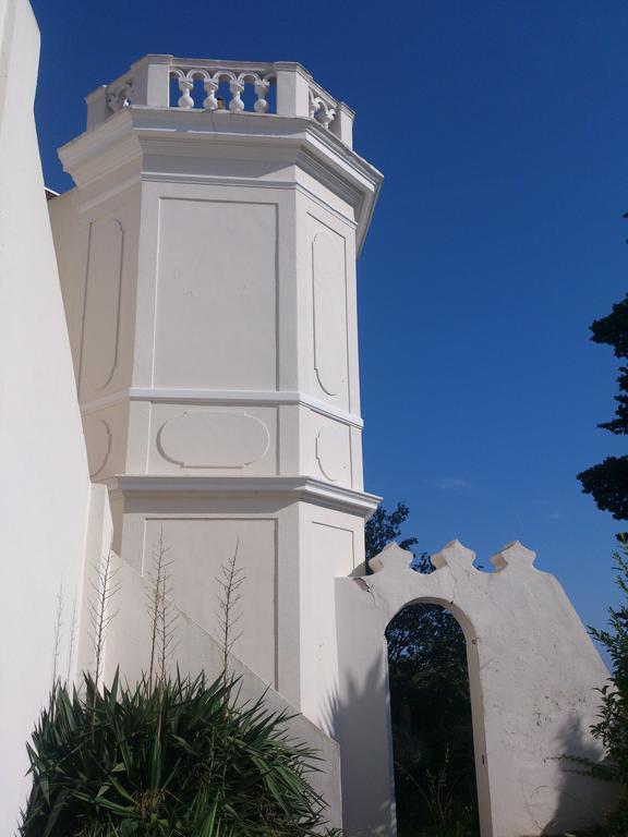 Villa-Chateau Les Terrasses - Tamaris, Plage Des Sablettes, Mer Au Bas De La Propriete La Seyne-sur-Mer Zewnętrze zdjęcie