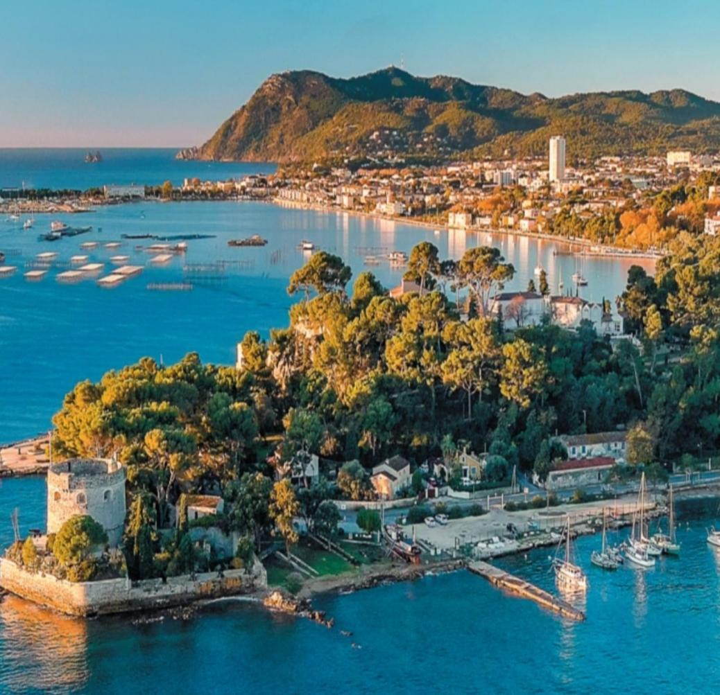 Villa-Chateau Les Terrasses - Tamaris, Plage Des Sablettes, Mer Au Bas De La Propriete La Seyne-sur-Mer Zewnętrze zdjęcie