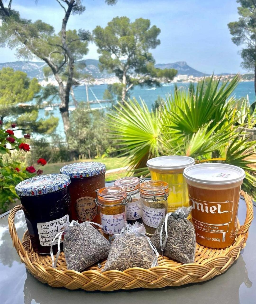 Villa-Chateau Les Terrasses - Tamaris, Plage Des Sablettes, Mer Au Bas De La Propriete La Seyne-sur-Mer Zewnętrze zdjęcie